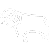 Derby County
